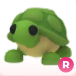 R Turtle