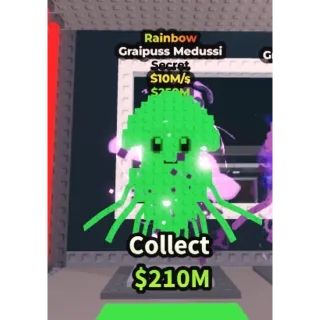 Rainbow Graipuss Medussi