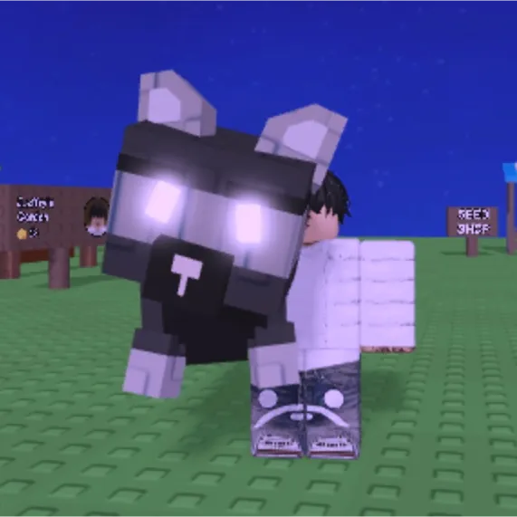 Inverted Raccoon - Game Item - Gameflip