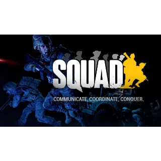 SQUAD - STEAM KEY AUTO DELIVERY