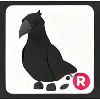 R Crow