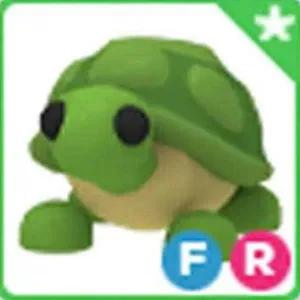 FR Turtle
