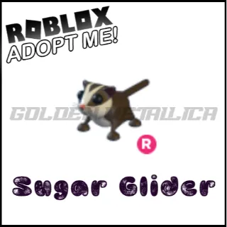 Sugar Glider R