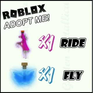 1 ride + 1 fly