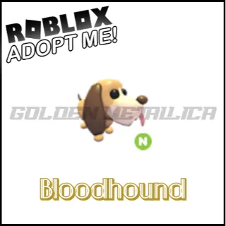 Bloodhound N