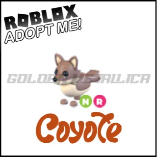 Coyote NR