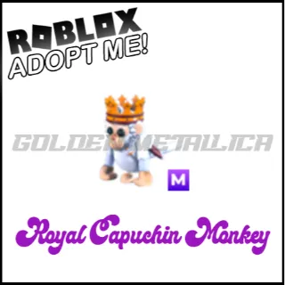 Royal Capuchin Monkey M