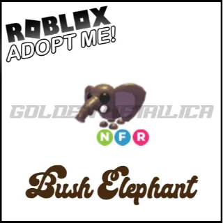 Bush Elephant NFR