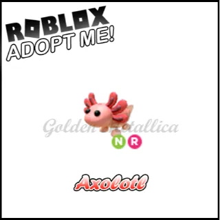 Axolotl NR