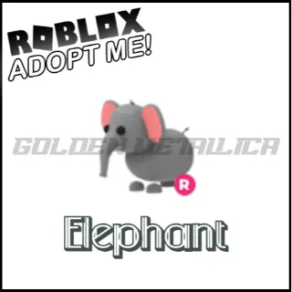 Elephant R