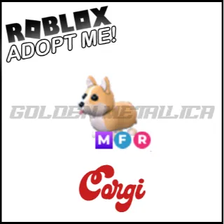 Corgi MFR