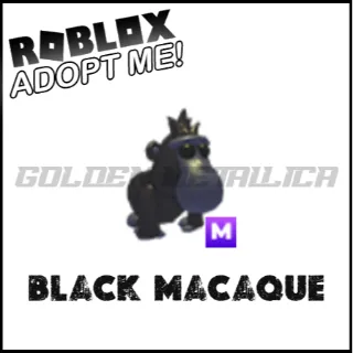 Black Macaque M