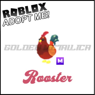 Rooster M