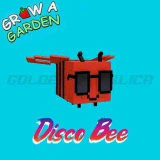 Disco bee
