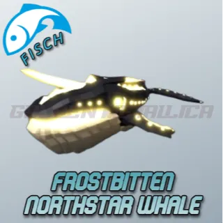 Frostbitten Northstar Whale