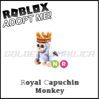 Royal Capuchin Monkey NR