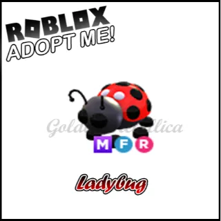 Ladybug MFR