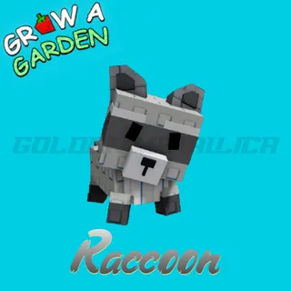 Raccoon