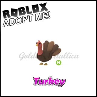 Turkey N