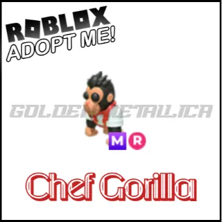 Chef Gorilla MR