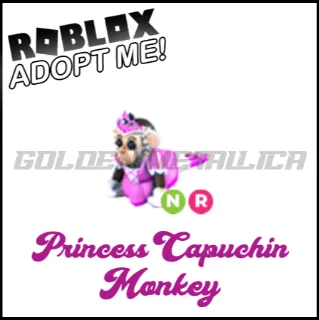 Princess Capuchin Monkey NR