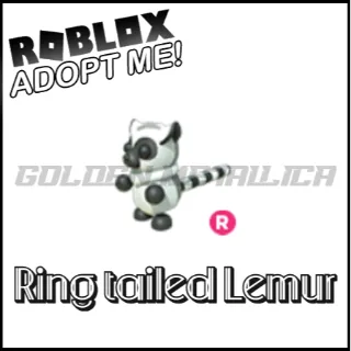 Ring tailed Lemur R