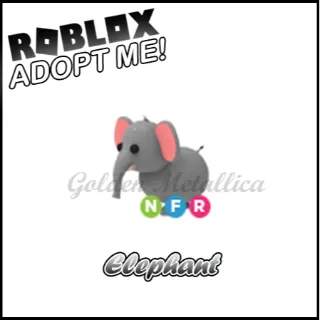 Elephant NFR