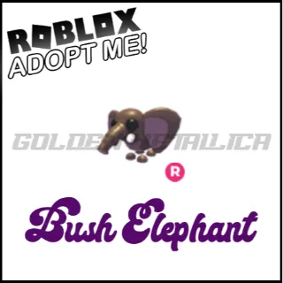 Bush Elephant R