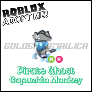 Pirate Ghost Capuchin Monkey NR