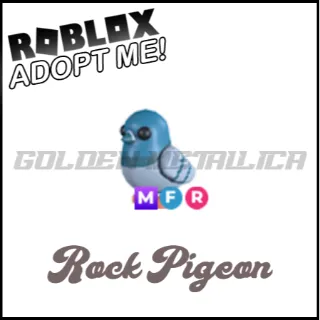 Rock Pigeon MFR