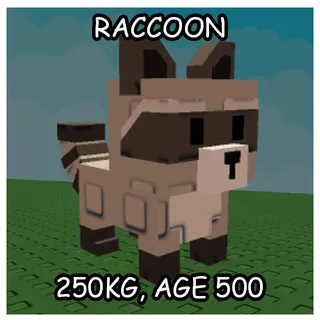 RACCOON 250KG+| GROW A GARDEN