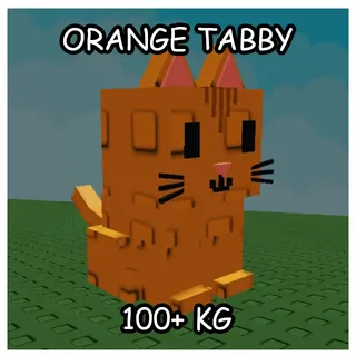 COLOSSAL ORANGE TABBY | 0:05 CD | 5 SECOND 