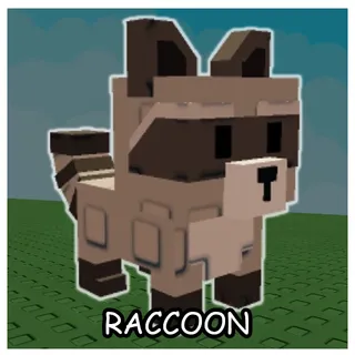 RACCOON | GROW A GARDEN