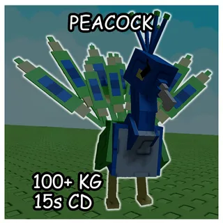 Peacock 80KG+ 15 sec Grow a garden 