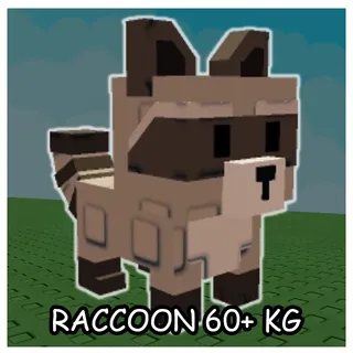 RACCOON 60KG+| GROW A GARDEN