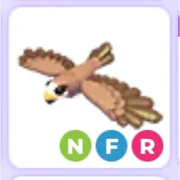 NFR black kite