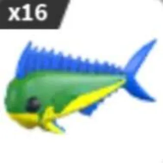 Mahi Mahi x16