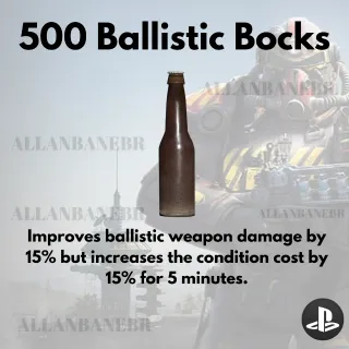 500 Ballistic Bocks