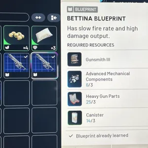2x Bettina Blueprint