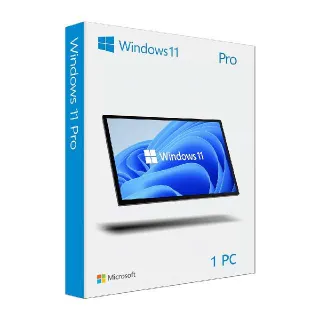 Windows 11 Professional OEM Key