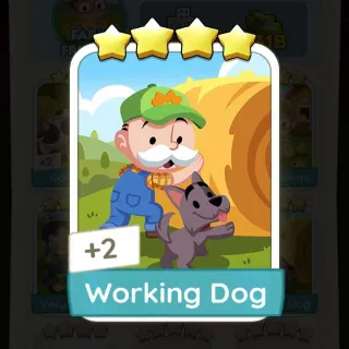 Working Dog