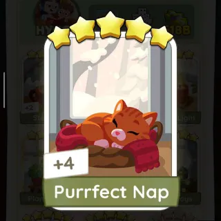 Purrfect Nap
