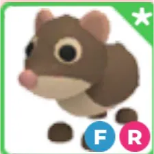 FR Shrew