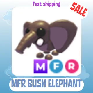 MFR BUSH ELEPHANT