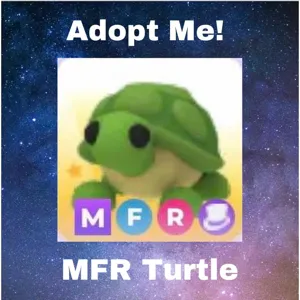 MFR Turtle