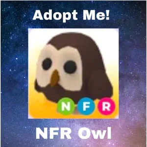 NFR Owl