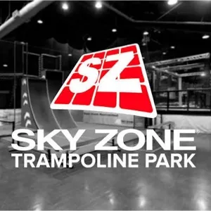 $25 USD Skyzone Gift Card (1 Code X $25 USD) AUTO DELIVERY