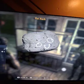 Pet Rock