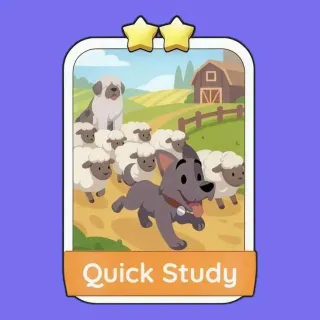 Quick Study 2 ⭐ Monopoly Go!