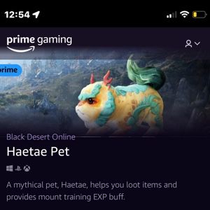 Black Desert online  “Haetae Pet”